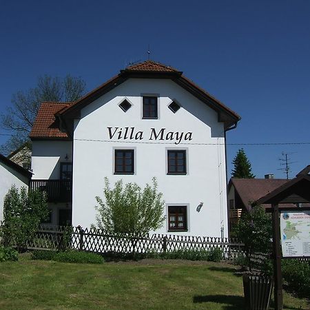 Villa Maya Horní Planá Dış mekan fotoğraf