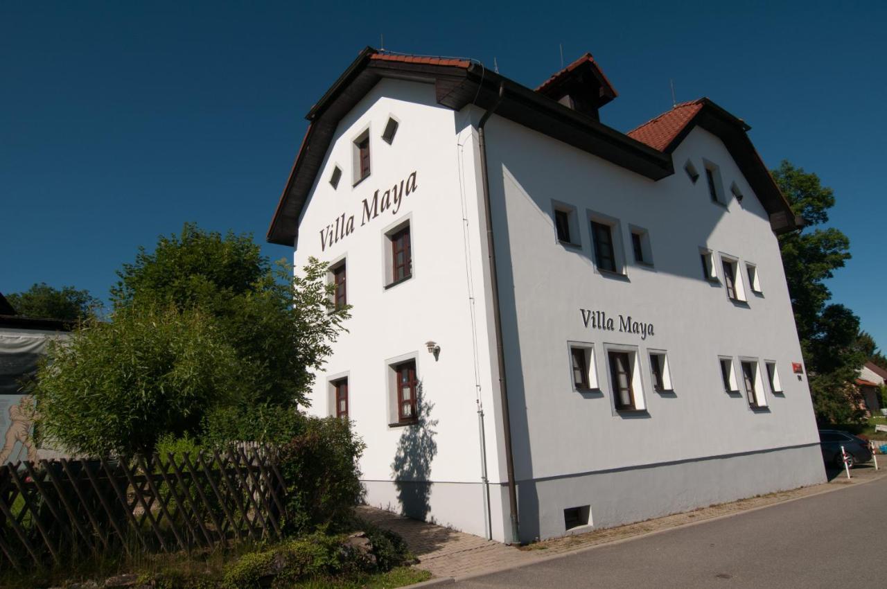 Villa Maya Horní Planá Dış mekan fotoğraf