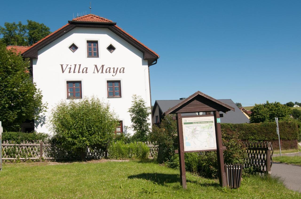 Villa Maya Horní Planá Dış mekan fotoğraf